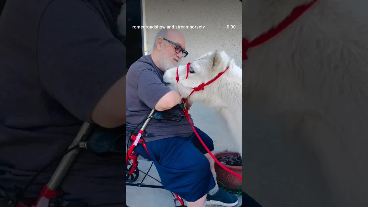 Romeo discovered he absolutely loves a beard on his Meals On Wheels delivery visit‼️ ❌⭕️❌❤️