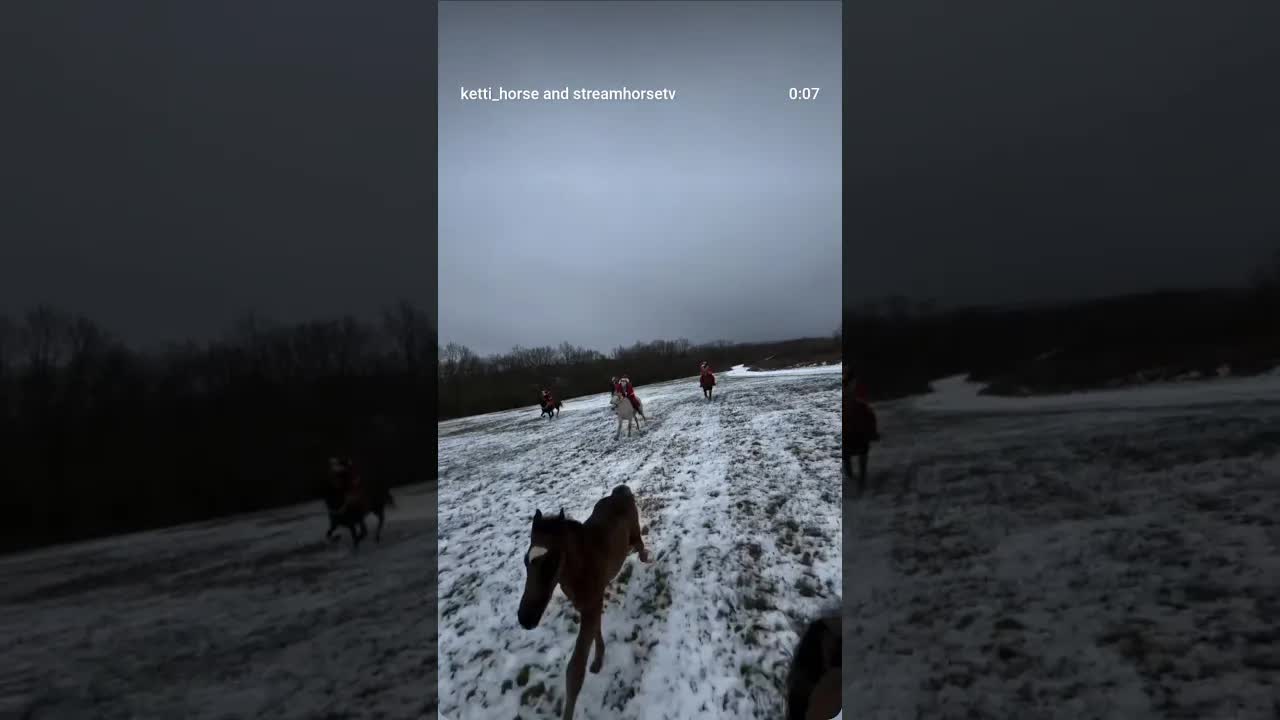 Flying into the New Year 🎅🎄