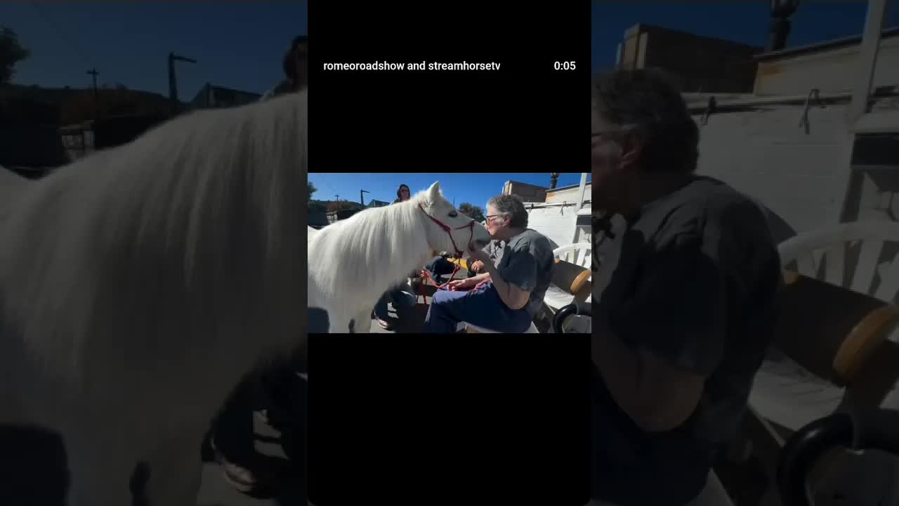 Romeo sharing ❌’s on our local Meals On Wheels delivery 🦄