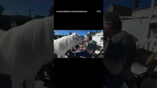 Romeo sharing ❌’s on our local Meals On Wheels delivery 🦄