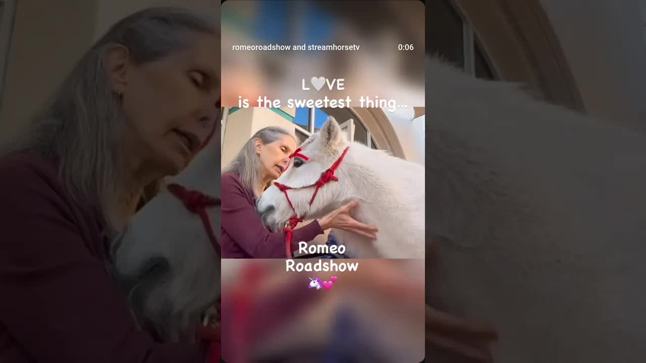 another sweet moment with our friends at @seniorconcernsofficial 🦄💕