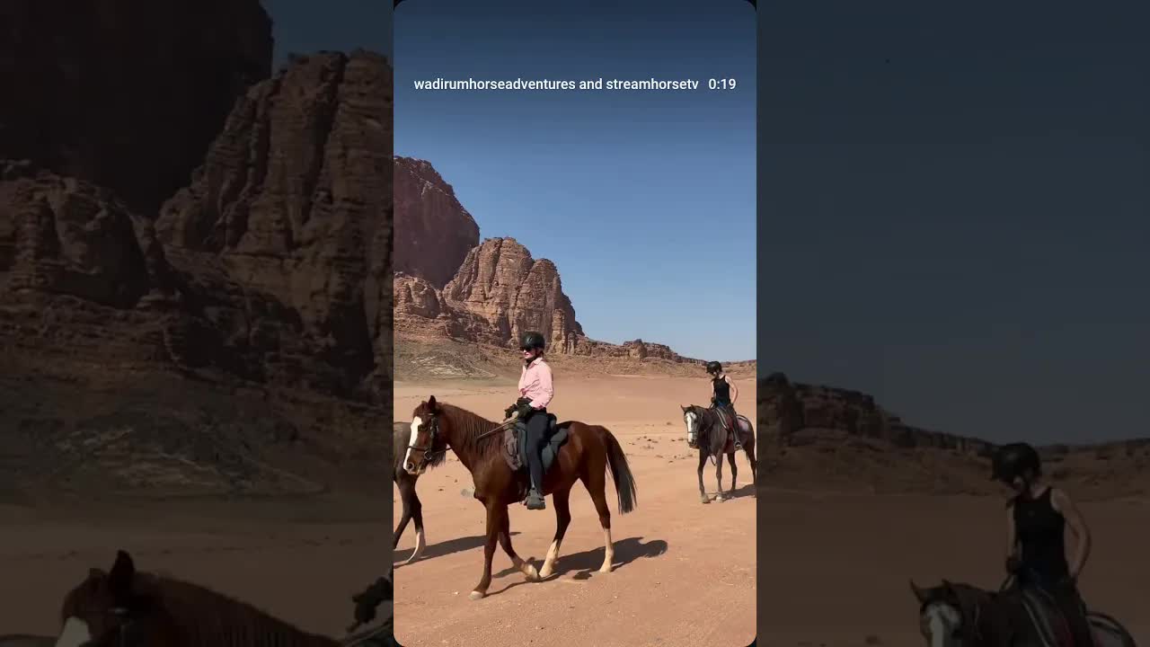 Today’s countdown moment: Walking without rush, horses wandering through the desert.