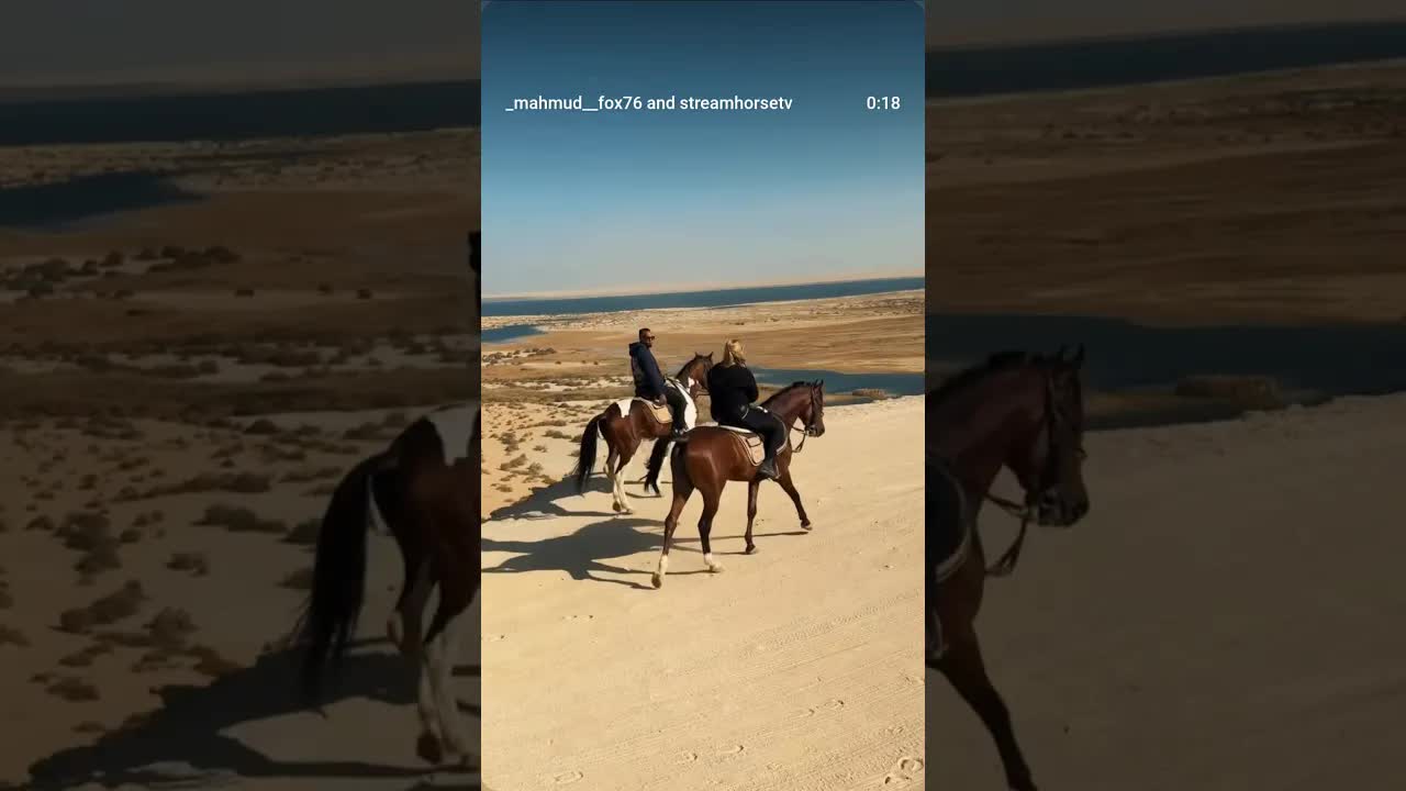 Fayoum National Park: An extraordinary place for a horseback escape in Egypt.