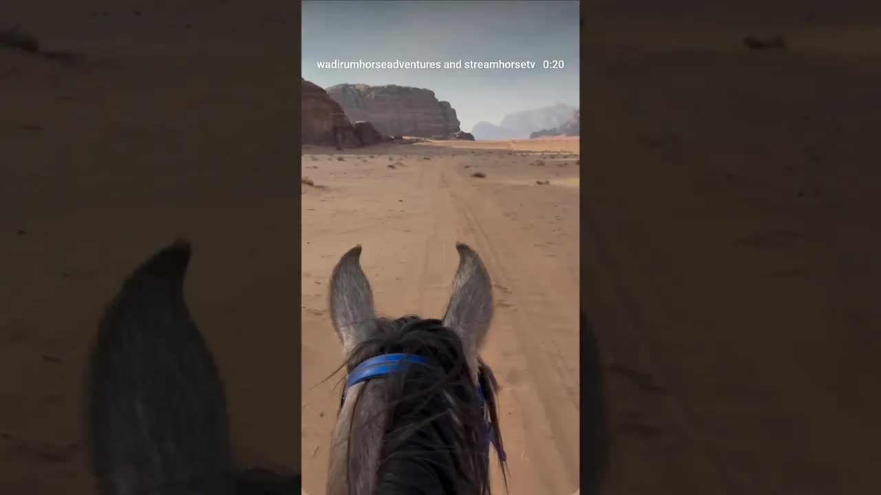 Building momentum, moving together.