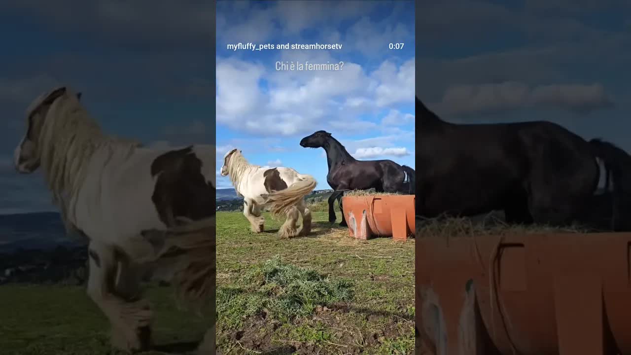 L'ultima arrivata e fa la prepotente 😂😂😂