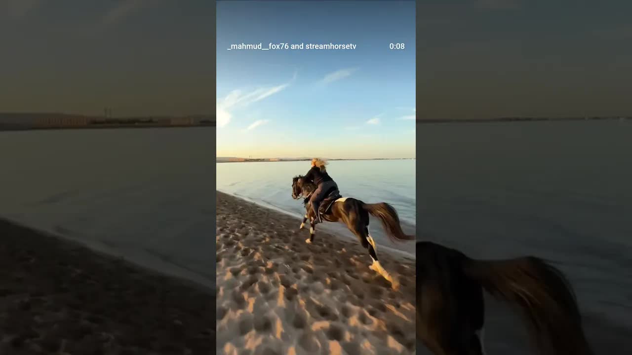 Absolutely! 🐎✨ Horseback riding on the beaches of Hurghada is one of the most beautiful moments