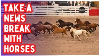 Take a 10-Minute Break from the News — Reset Your Mind with Horses & Nature 🌎🐴😊