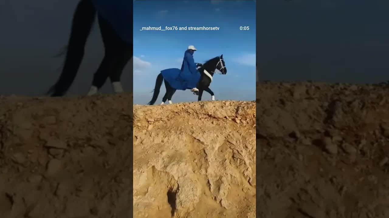 When you ride your horse up the mountain, you feel the earth closer to your heart 🐎🏔