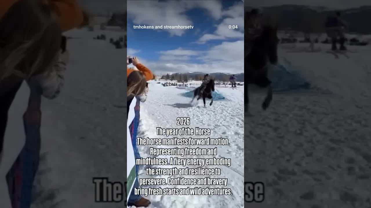 🐍———🐴 we’re done shedding and moving to taking action!