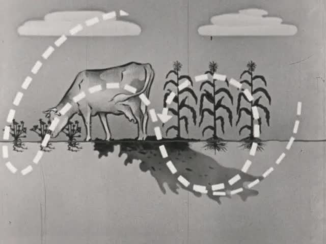 Microorganisms Beneficial Activities (1958)