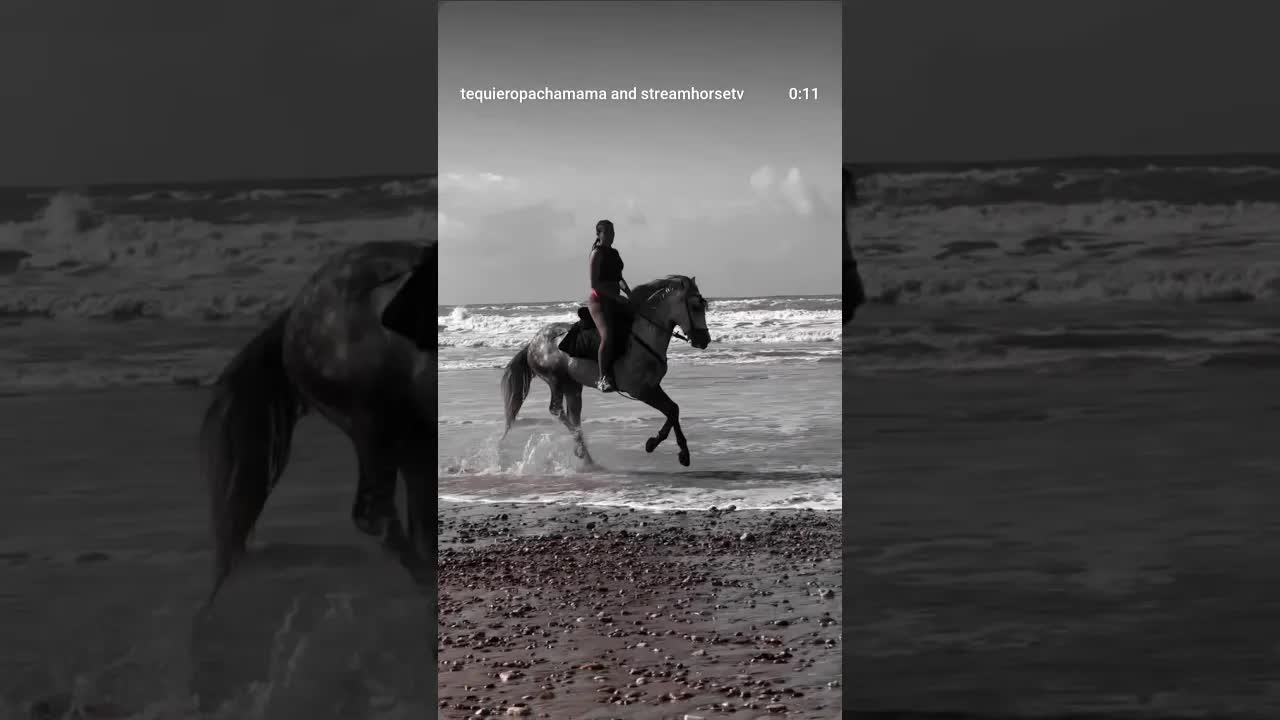 Life is not always gentle, but its meaning grows in our ability to endure. ⚡️🖤