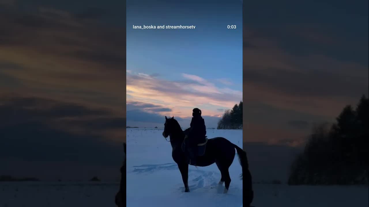 beautiful winter sunset moments 🐎