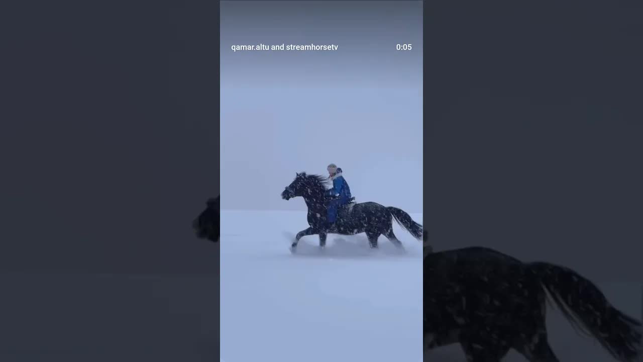 Finding magic in the mist 🐎❄️ Deep trails, quiet moments, and hooves that know the way.