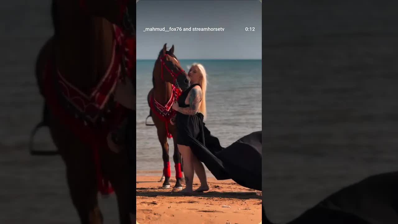 On the seashore, where tranquility meets strength, and the wind tells a story of freedom 🐎🌊✨