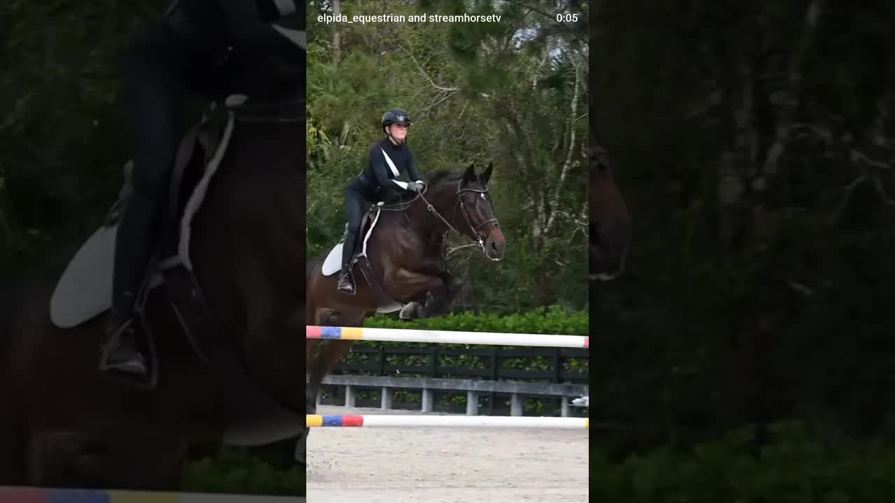 Golden WEF 1 prep 👌🏻