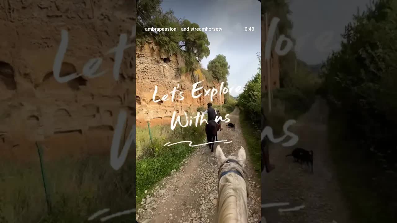 LE SOLITE PASSEGGIATE A CAVALLO TI ANNOIANO?