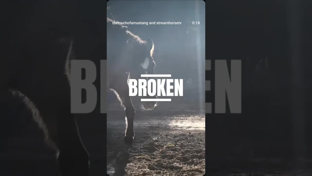 These words apply to horse and human.