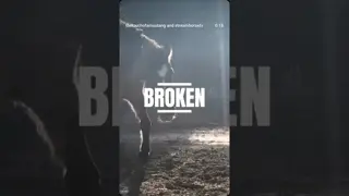 These words apply to horse and human.