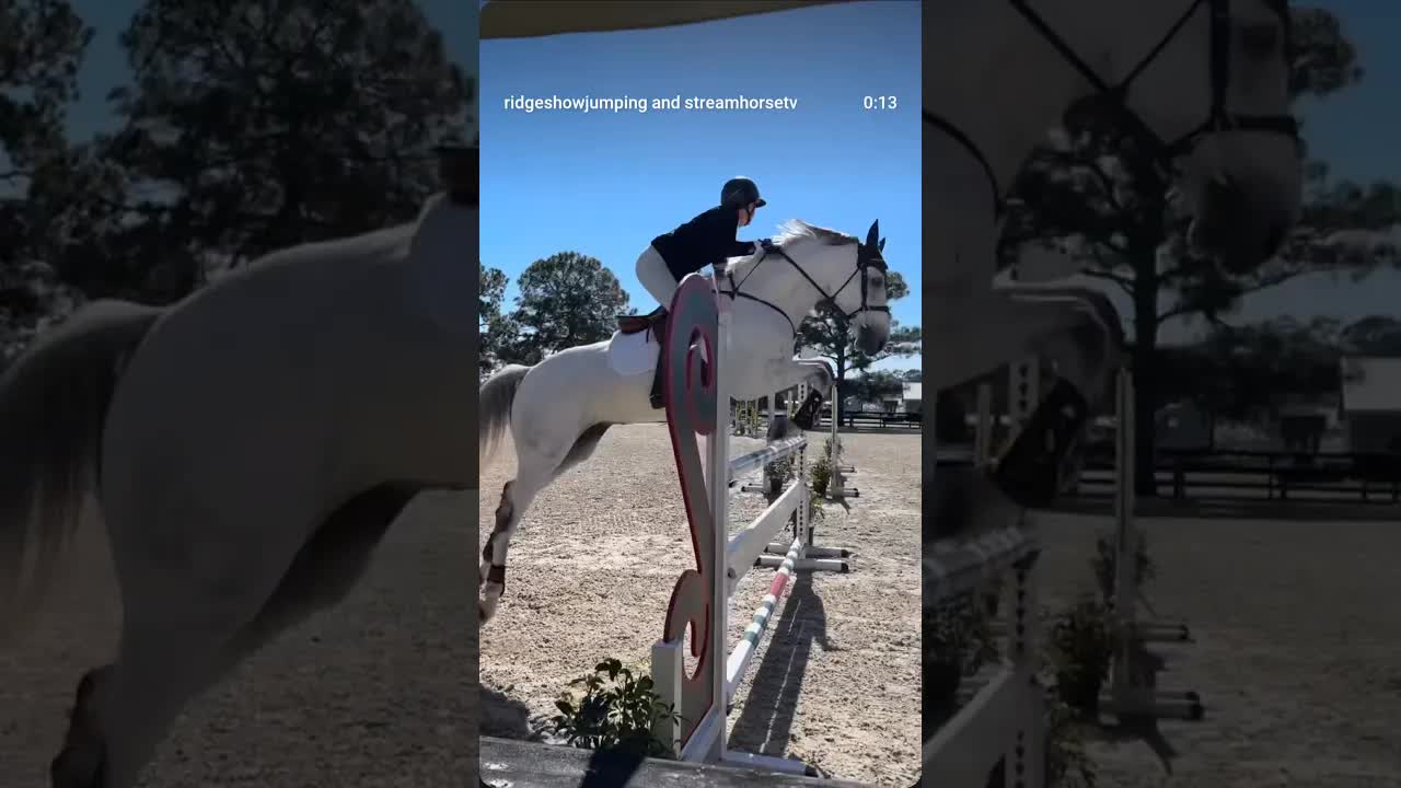 What a gorgeous day 👀 for clear rounds to wrap up our 1.20 Jr/Am/Open in the Grand Prix ring 🌟