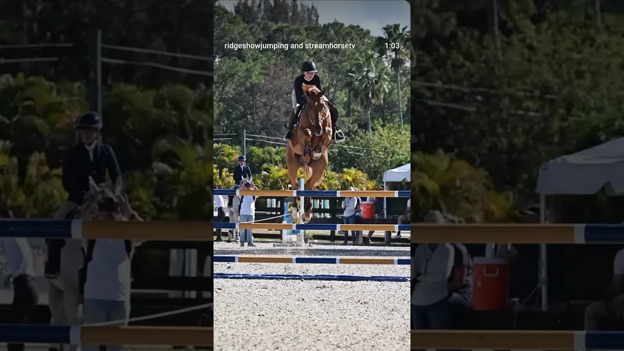 Our riders understood the assignment 😎🐎😎💫🌟😃 We had an amazing Rising Star!