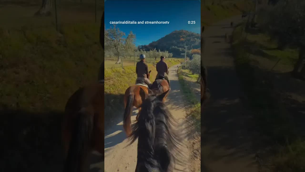 The Best way to start the year of the Horse is on the horseback at Casa Rinaldi. 🤠