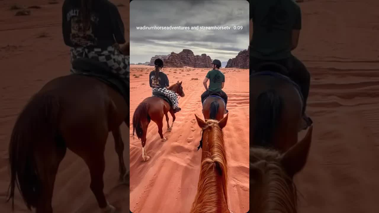 A full-day ride, a winter desert, and four incredible horses 🐎✨Kabir • Knafeh • Amir • Najam