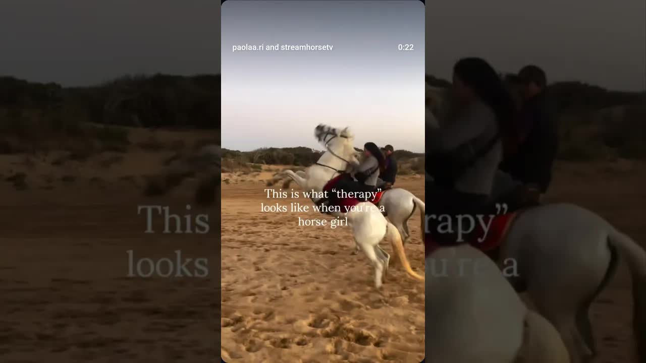 Me and my *horse girl squad* vibes: