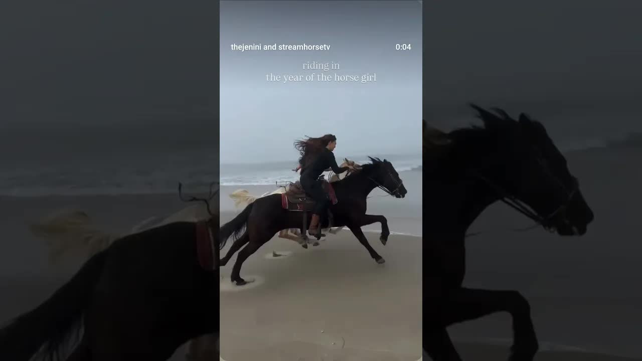 you, me, and the wind in our hair as we gallop together down an empty beach….
