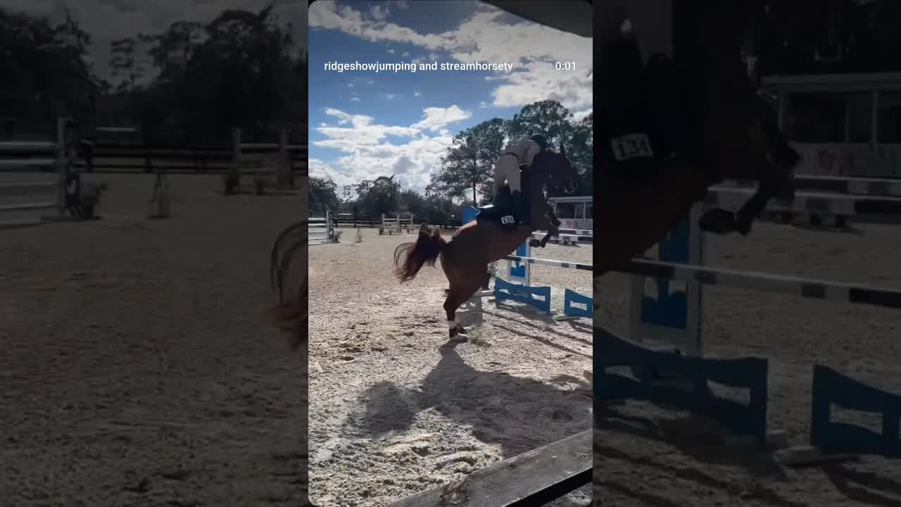 Grand Prix vibes 💫🐎💫