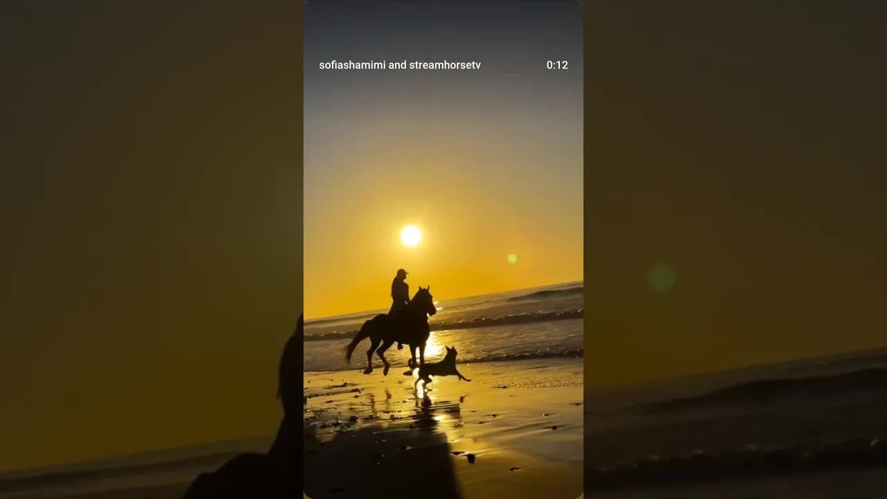 this feeling = horse power 🖤