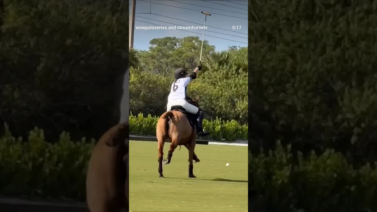 LADIES ON FIRE! 🔥 WOW Polo Series