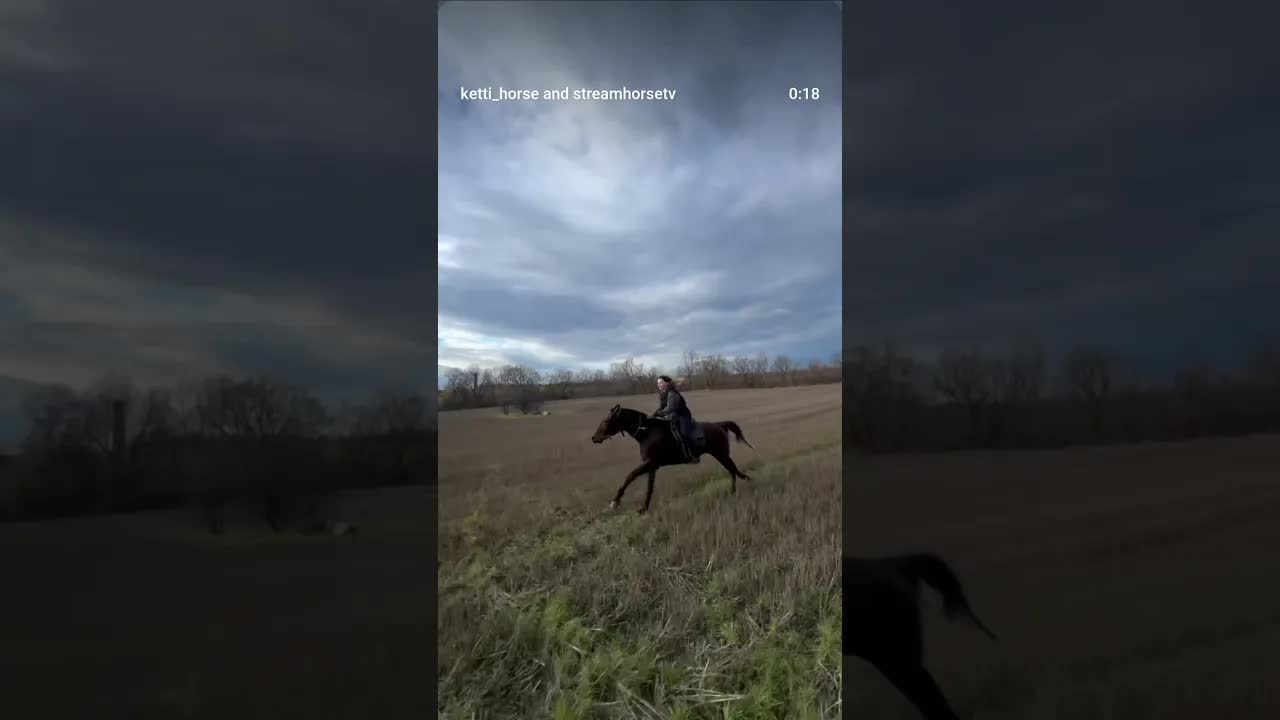 This is a fierce mix 👩🏼🐴