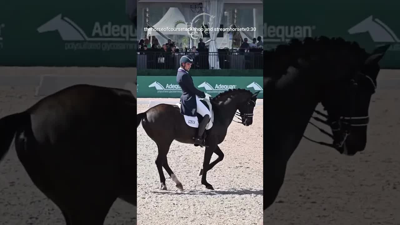 Congratulations Christian Simonson 🇺🇸 & Indian Rock 🎸 on victory in the CDI Grand Prix & Freestyle