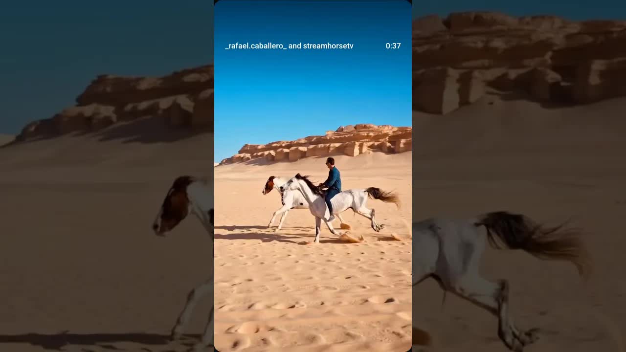 Freedom is not given. It is lived.This is where magic happens. None of this is random.