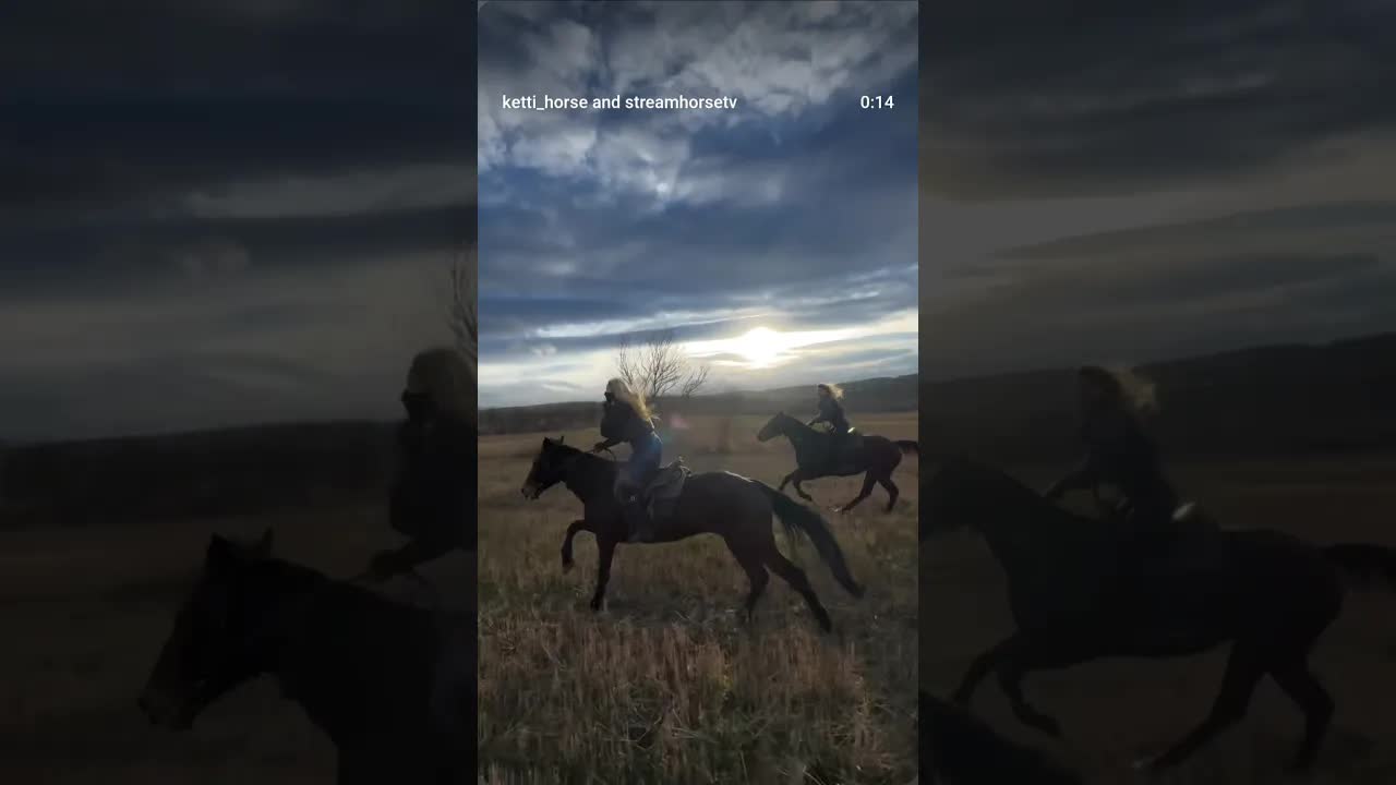 Babe, don't try to call 💣❤️‍🔥🐴