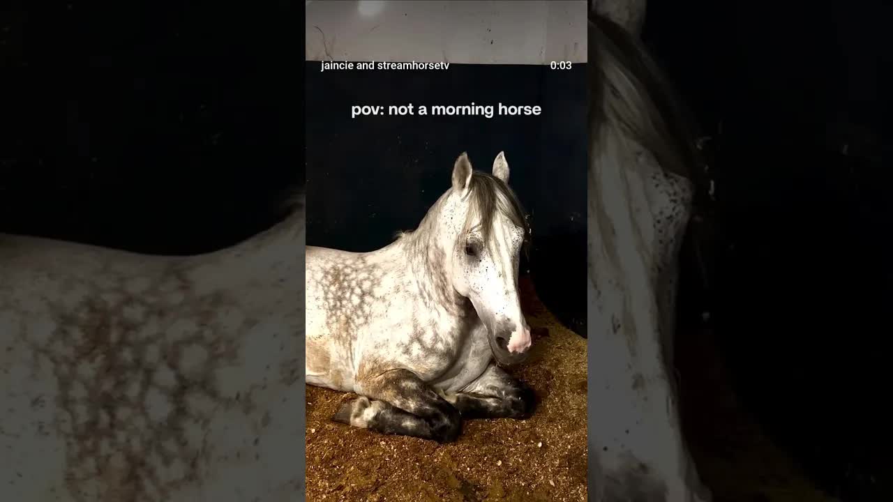 Clearly wanted to hit snooze some more. 😴