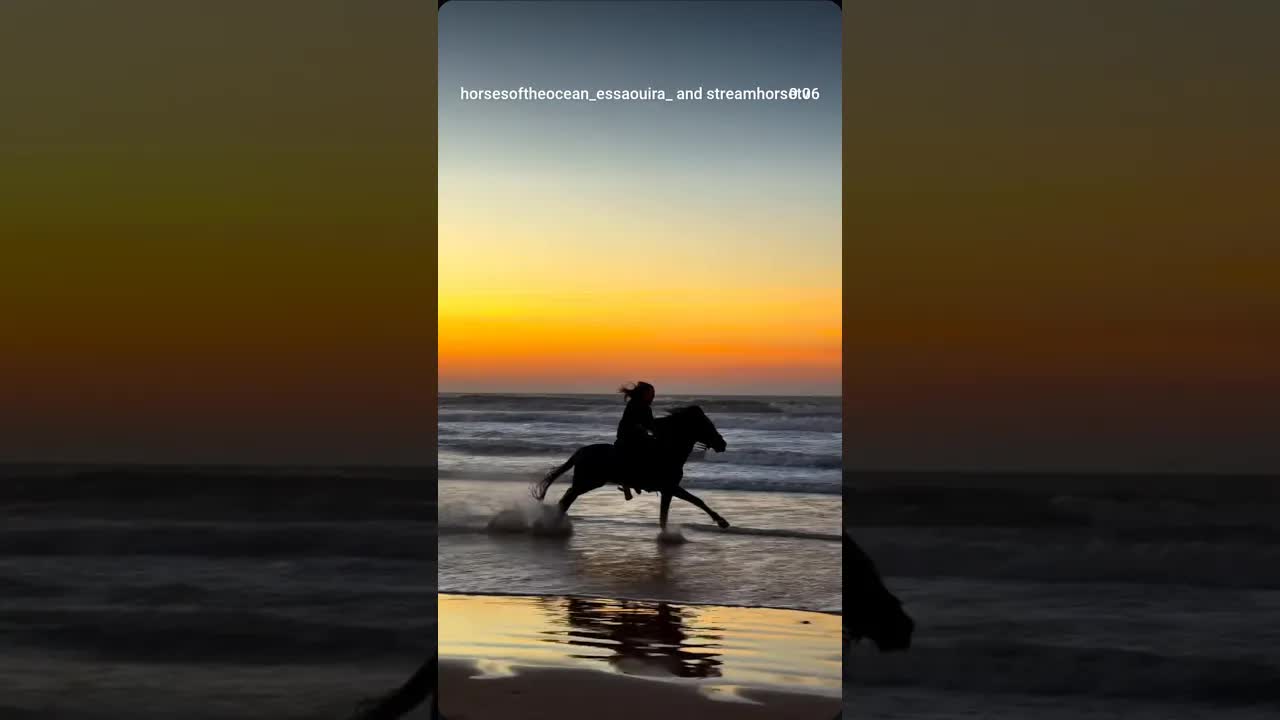 You can always find something beautiful in the chaos 🖤🧿 Matrix