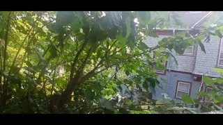 September 13, 2024(3)