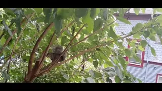 September 13, 2024(1)