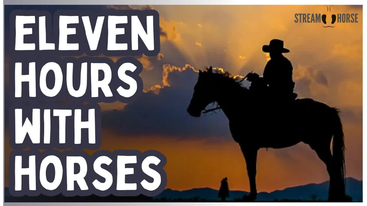 A Safe, Peaceful Place Wherever You Are In The World 🐎🌎 11 Hours With Horses
