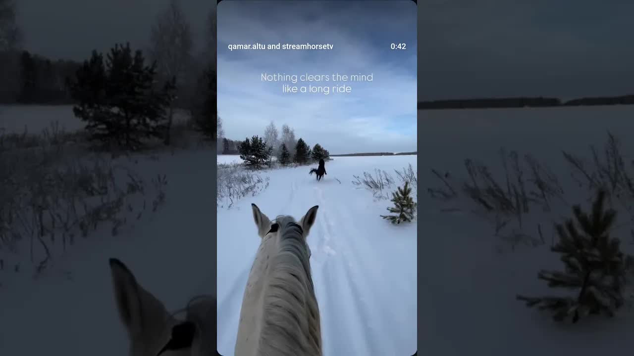 Pure therapy, no words needed