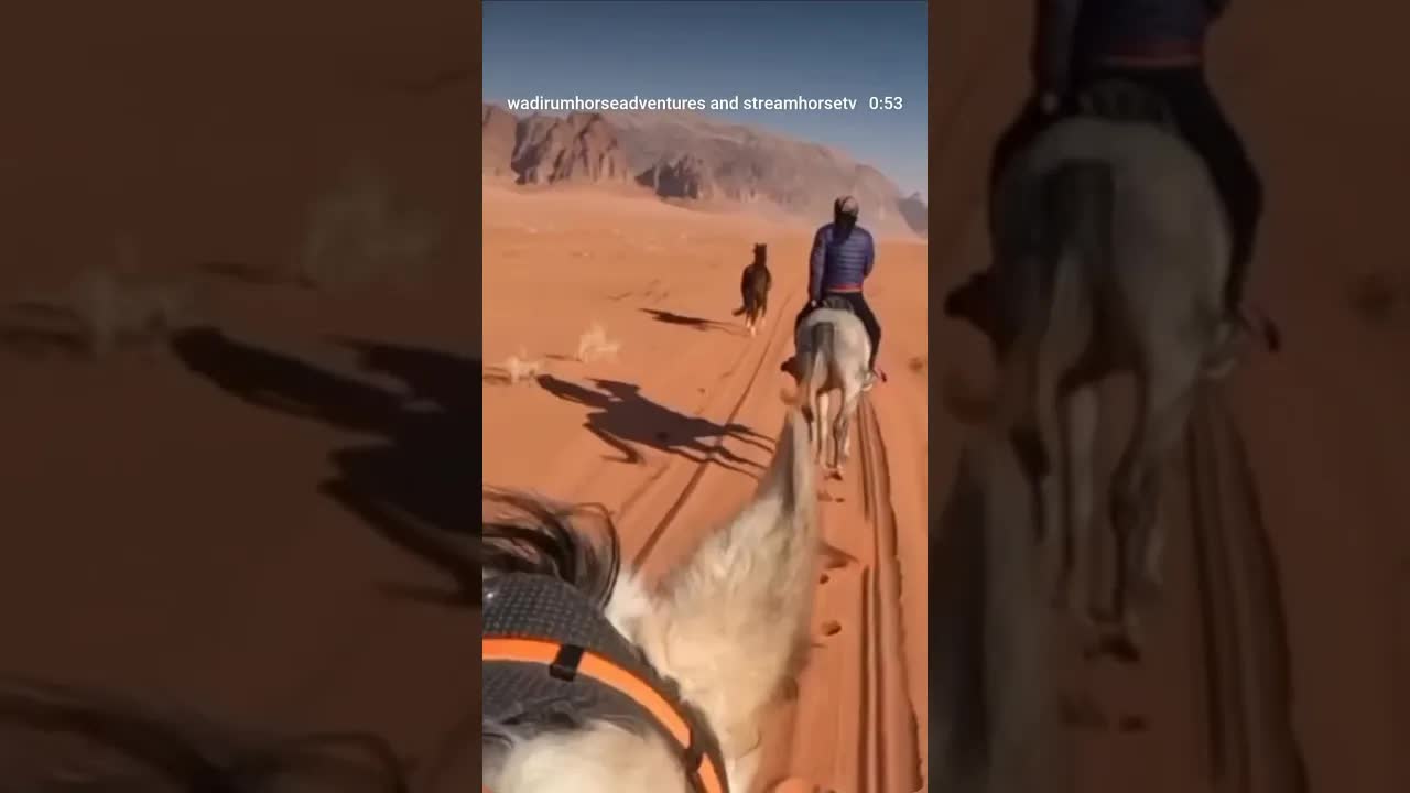 Our very 1st ride of the year 🌅From January 1st to 4th, we welcomed back Lukasz & his partner.