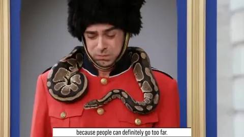 Tourists underestimate ceremonial soldiers and face consequences