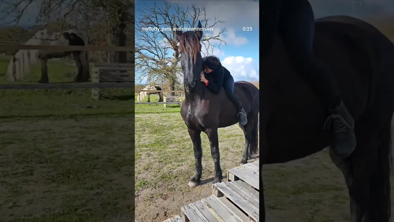 I would spend hours like this, hugging doing nothing ❤️