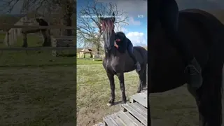 I would spend hours like this, hugging doing nothing ❤️