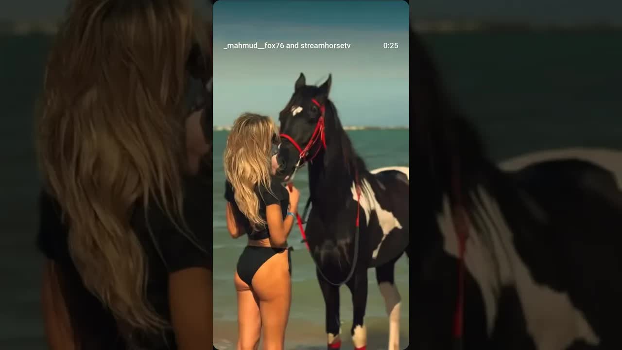 The Horse is a beautiful, unique soul, and its love is felt by anyone who comes near it. 🐎🖤