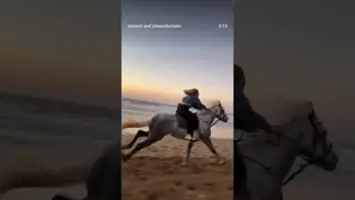 Unforgettable Shelby 🩵🐴🧿💫✨