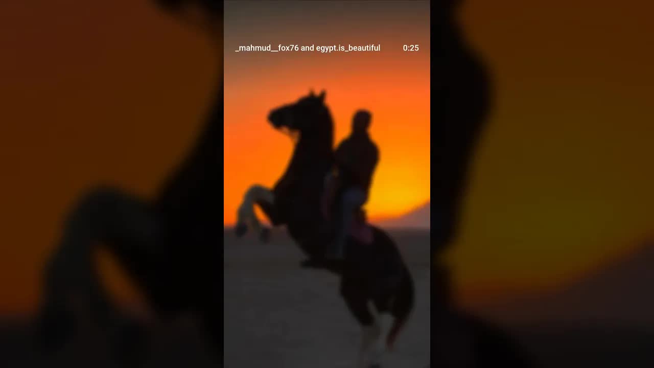 If Allah is pleased, then peace be upon this world and all that is in it...!! 🐴🤝