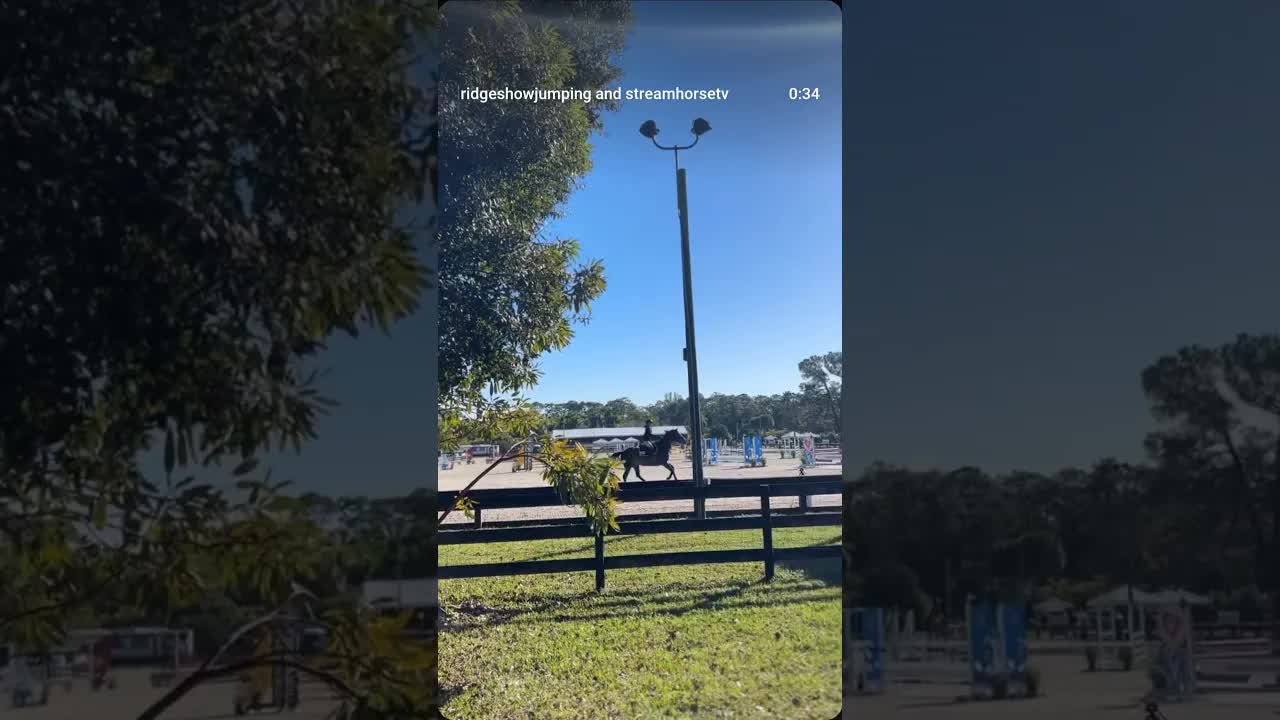 Unsurpassed vibes ☀️☀️☀️ 🐎🐎🐎