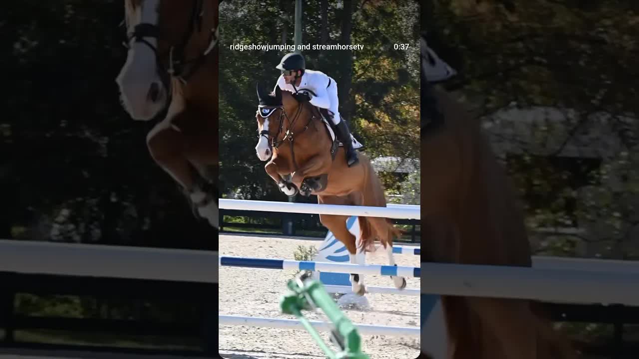 Magic Mark 🪄 🐎 & the elegant, scopey, fast S&L Eyes 4U 👁️👁️ winning today’s $15,000 1.40M Grand Prix